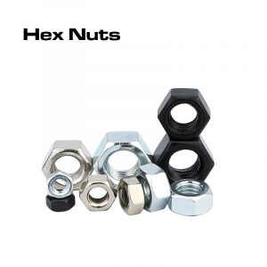 Hex Nuts